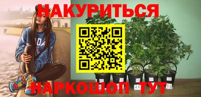 стаф Кимры