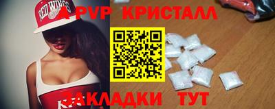 PSILOCYBIN Кингисепп