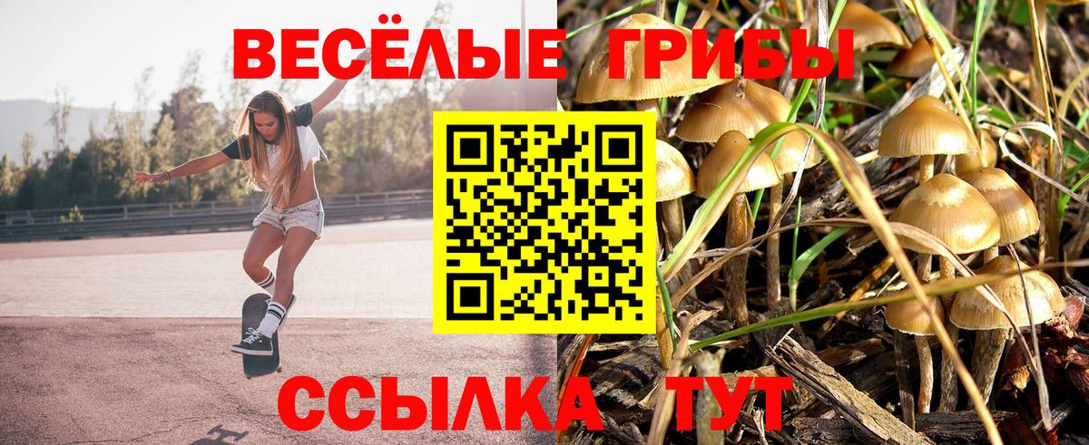 Галлюциногенные грибы мухоморы Котлас