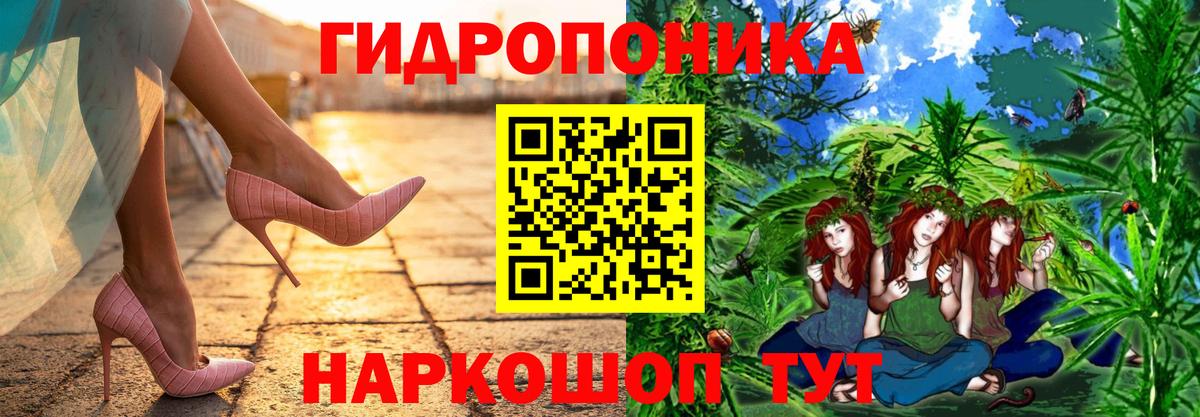 Каннабис Bruce Banner Котлас